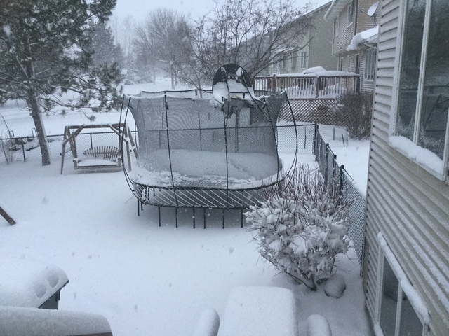 IMG_0208.thumb.JPG.54e20ee9e4af9ae9d3604