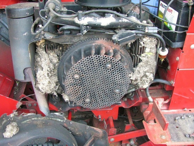 IMG_1178.thumb.JPG.f018f4463b8721e782e28