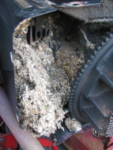 IMG_1179.thumb.JPG.8157b14037acfb0b25511