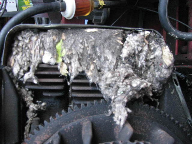 IMG_1180.thumb.JPG.c7dbca47cd86de9218509