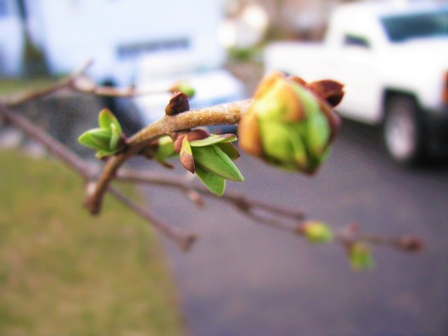 IMG_5058.thumb.JPG.5f8b06ed385baab3ad1e1