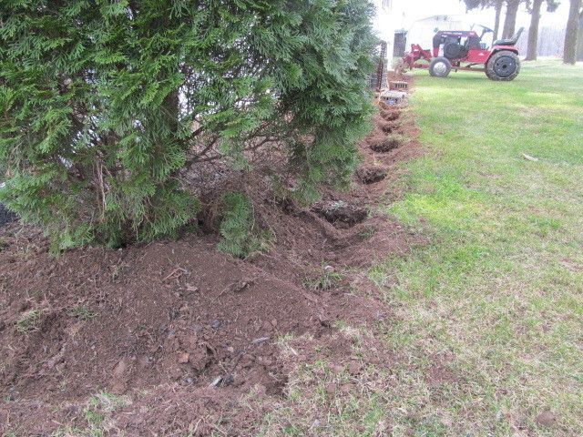 IMG_5569.JPG.1ffaf2b4ff3ad0df4e4de7c18af