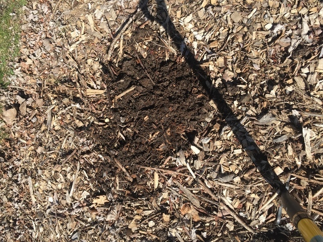 IMG_9906.thumb.JPG.a703db2f887d40dace6d7