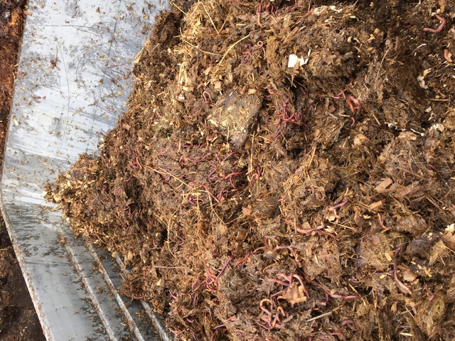 image.thumb.jpeg.24c98b36f88f69224098f4d