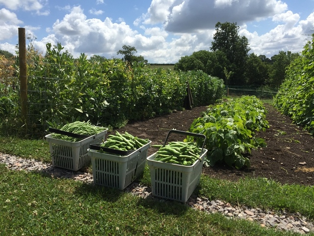 image.thumb.jpeg.27922db643a41338efe7ef5