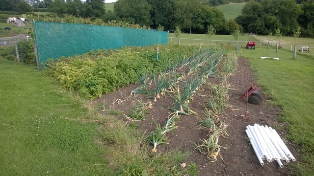 image.thumb.jpeg.5163c581445ecc4746949f9