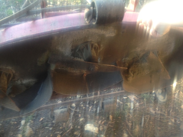 image.thumb.jpeg.60e4b152ec98682eba16ac4