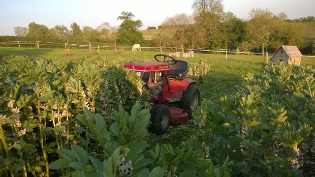 image.thumb.jpeg.69b368fdcad41a6167afd94