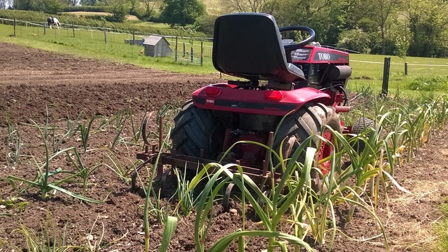 image.thumb.jpeg.6ab9f6978a71fa4cc34ab40