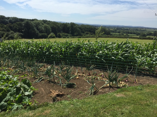 image.thumb.jpeg.820e082487e48d011b35a98