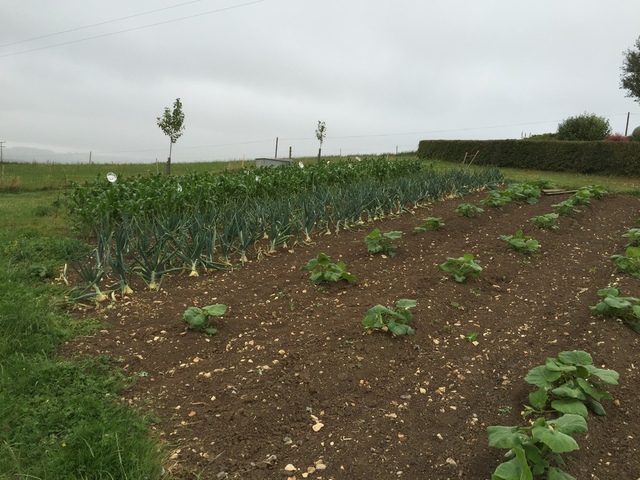 image.thumb.jpeg.a7db94fdc9442440696c300