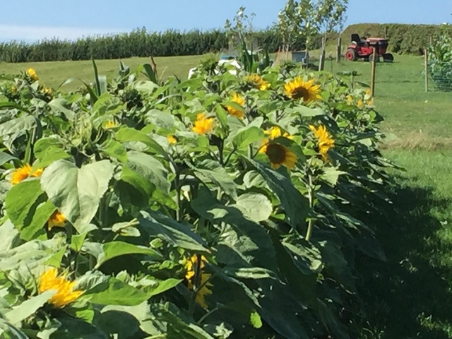 image.thumb.jpeg.ad8c27818f2a14aa0b314d2