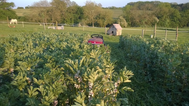 image.thumb.jpeg.c43fea5bb2c8df27fa8767e