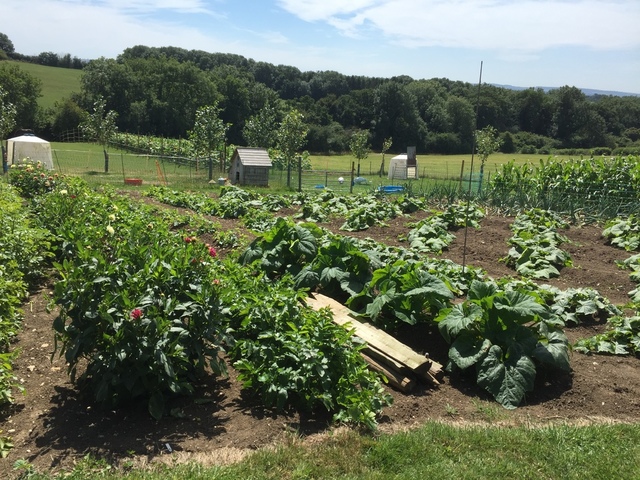 image.thumb.jpeg.caab4b0edc5d024b8191395