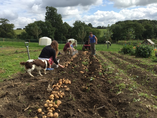 image.thumb.jpeg.ccdbc0559ad48a894234542