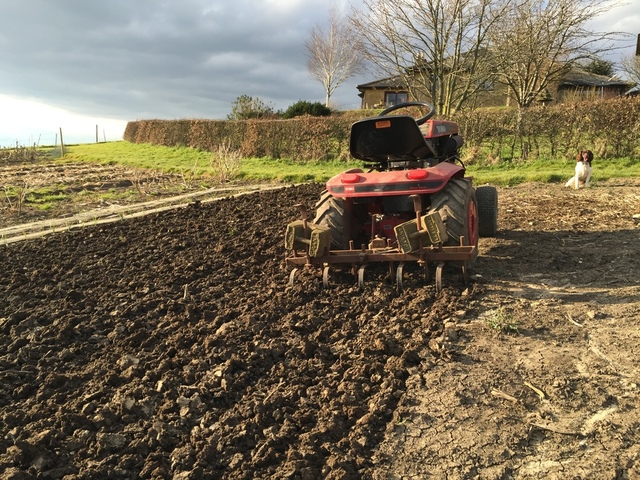 image.thumb.jpeg.da4f63f22be9a259cb1e3ee