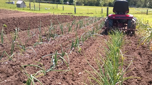 image.thumb.jpeg.f347e49eeffb27c0cbeb1c2