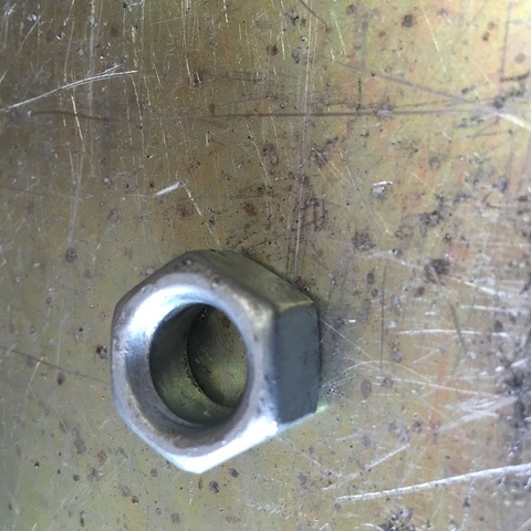 nut.thumb.JPG.5e69247126bff10e3d31ba5847