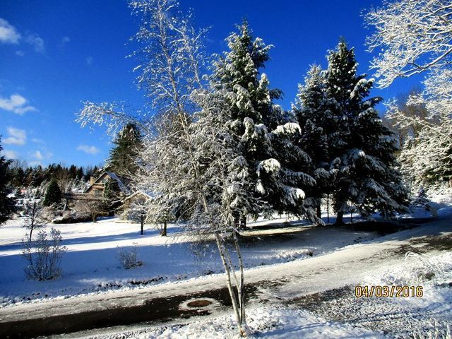 IMG_0385 (800x600).jpg