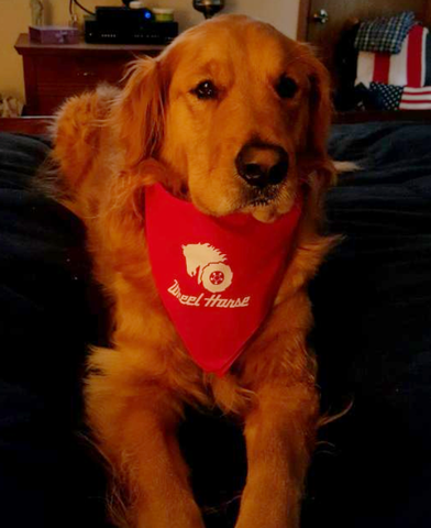 Buddy bandana 2016.png