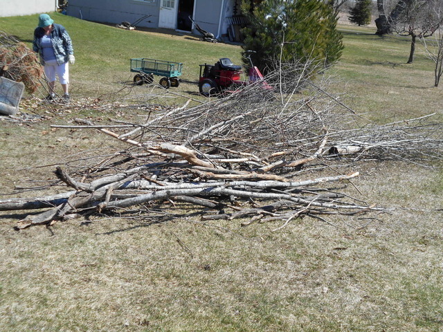 Burn day and front hitch 005.jpg