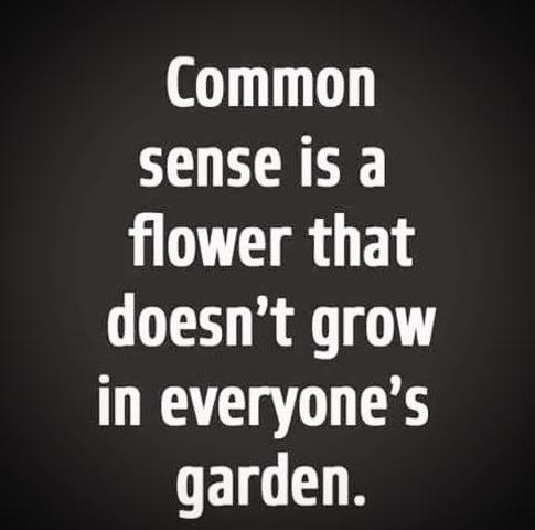 Comon Sence.jpg