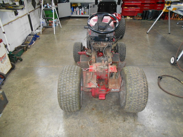 Mouse nest removed 1.JPG