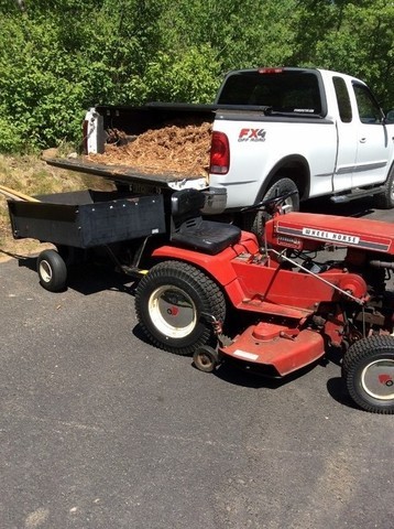 Whorse_mulch (598x800).jpg