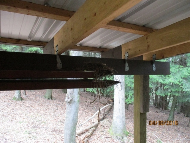 IMG_0514 (800x600).jpg