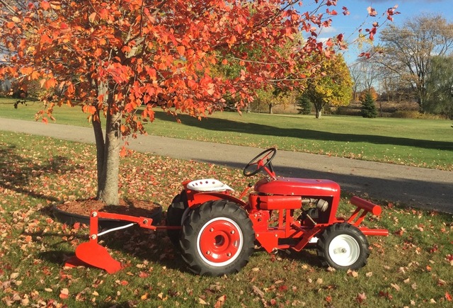 Wheel Horse leaves.jpeg