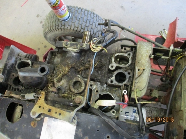 IMG_0646 (800x600).jpg