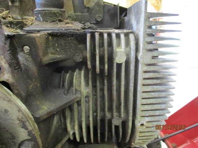 IMG_0649 (800x600).jpg