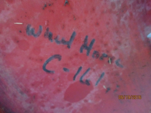 IMG_0651 (800x600).jpg