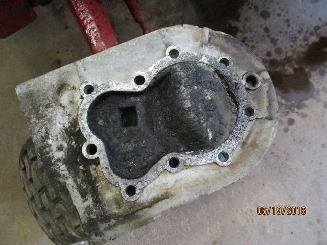 IMG_0653 (800x600).jpg