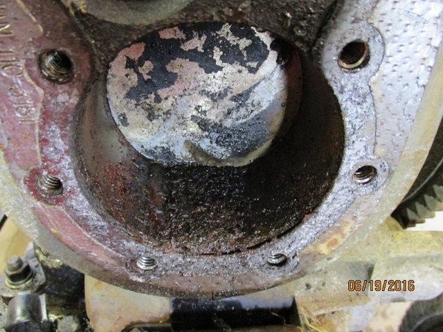 IMG_0655 (800x600).jpg