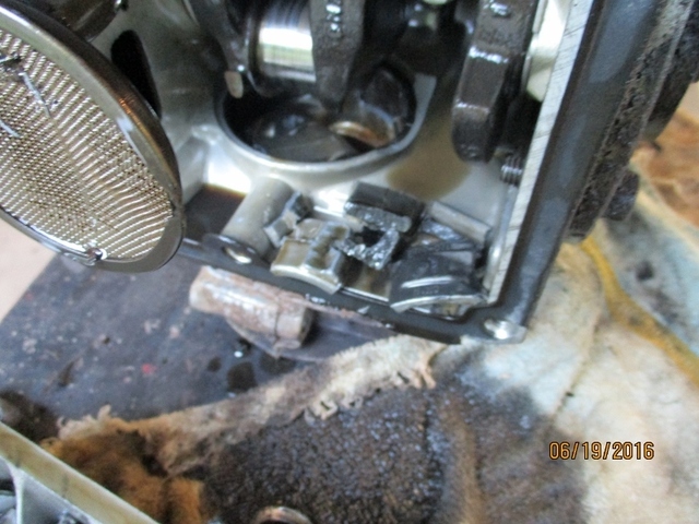 IMG_0659 (800x600).jpg