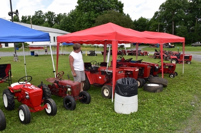 DSC_0021 (1024x683).jpg