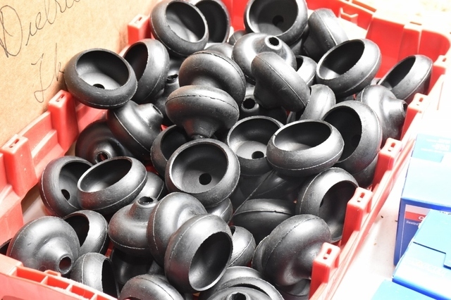 DSC_0038 (1024x683).jpg