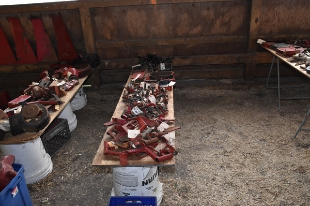 DSC_0049 (1024x683).jpg