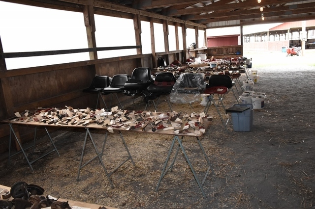 DSC_0051 (1024x683).jpg