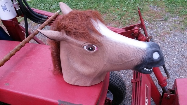 2016 WHCC Show 010.jpg