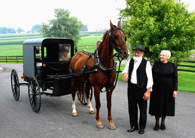 amish-buggy-horse.jpg