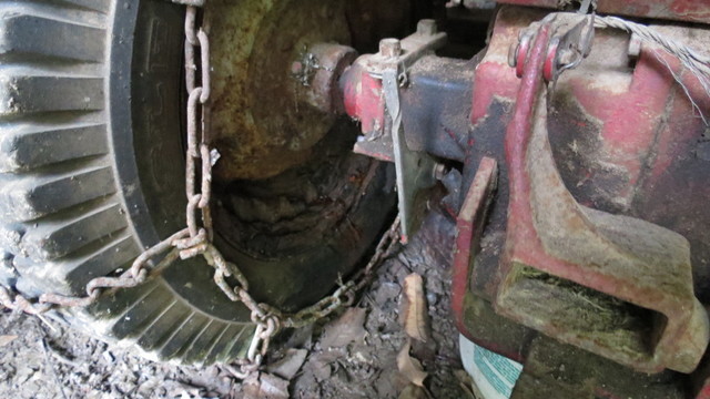 tractors and birds 049.JPG