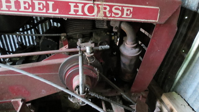 tractors and birds 047.JPG