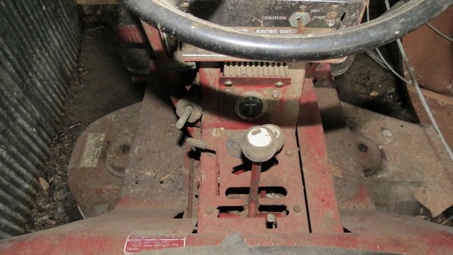 tractors and birds 043.JPG