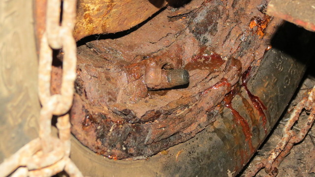 tractors and birds 050.JPG