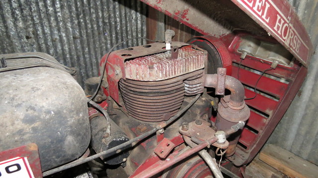 tractors and birds 040.JPG