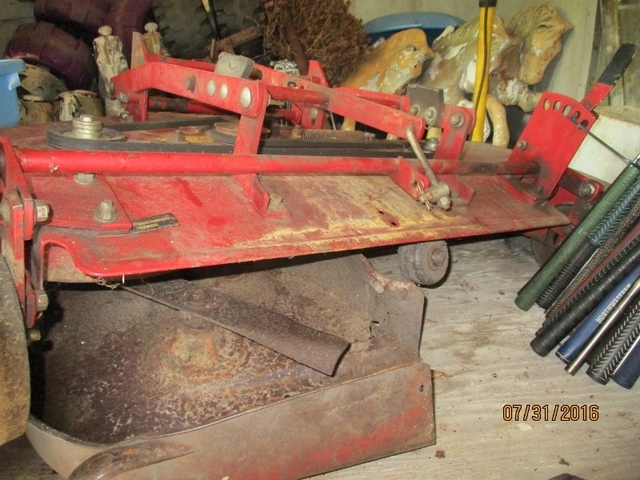 IMG_0800 (800x600).jpg