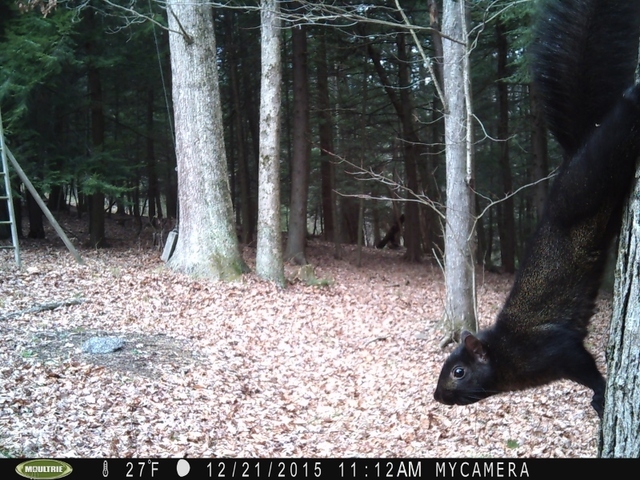 PICT0013 (800x600).jpg