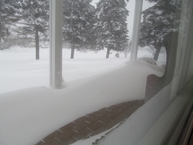 IMG_2432 (640x480).jpg